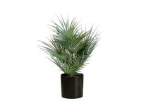 Fan Palm, artificial plant, 55cm