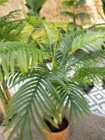Areca Palme, 2-stämmig, Kunstpflanze, 120cm