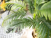 Areca Palme, 2-stämmig, Kunstpflanze, 120cm