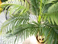 Areca Palme, 2-stämmig, Kunstpflanze, 120cm