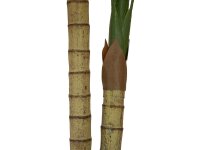 Areca Palme, 2-stämmig, Kunstpflanze, 120cm