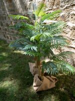 Areca Palme, 2-stämmig, Kunstpflanze, 120cm
