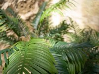Areca Palme, 3-stämmig, Kunstpflanze, 150cm