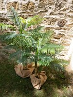 Areca Palme, 3-stämmig, Kunstpflanze, 150cm
