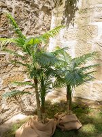 Areca Palme, 3-stämmig, Kunstpflanze, 150cm