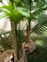 Areca Palme, 3-stämmig, Kunstpflanze, 150cm