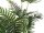 Areca Palm, artificial plant, 180cm