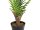 Areca Palm, artificial plant, 180cm