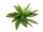 Boston Fern, artificial plant,53cm