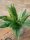 Boston Fern, artificial plant,53cm
