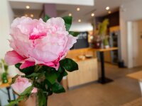 Peony Branch classic, artificial plant, pink, 80cm