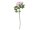 Peony Branch classic, artificial plant, pink, 80cm