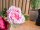 Peony Branch classic, artificial plant, pink, 80cm
