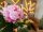 Peony Branch classic, artificial plant, pink, 80cm