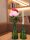 Peony Branch classic, artificial plant, pink, 80cm