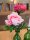 Peony Branch classic, artificial plant, pink, 80cm