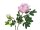 Peony Branch premium, artificial plant, pink, 100cm