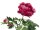 Peony Branch premium, artificial plant, magenta, 100cm