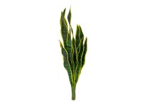 Snake Tongue (EVA), artificial, green-yellow, 60cm