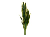 Snake Tongue (EVA), artificial, green-yellow, 60cm