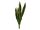 Snake Tongue (EVA), artificial, green-yellow, 60cm