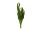 Snake Tongue (EVA), artificial, green-yellow, 60cm