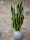 Snake Tongue (EVA), artificial, green-yellow, 60cm