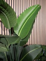 Strelitzia, artificial plant, 110cm