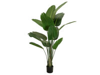 Strelitzia, artificial plant, 170cm