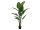 Strelitzia, artificial plant, 170cm