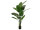 Strelitzia, artificial plant, 170cm