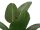 Strelitzia, artificial plant, 170cm