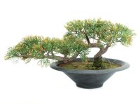 Pencil Cedar, artificial plant, 40cm