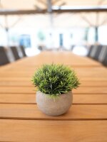Table plants in pots, artificial plant, Set of 3