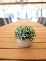 Table plants in pots, artificial plant, Set of 3