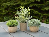 Table plants in pots, artificial plant, Set of 3