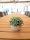 Table plants in pots, artificial plant, Set of 3