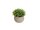 Table plants in pots, artificial plant, Set of 3