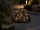 Artificial Rock, ROCK LIGHT