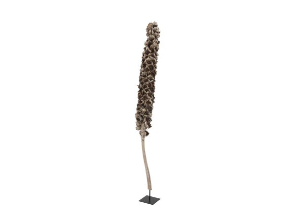 Cacho coco ca. 120-190cm