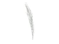 Galho Buriti white 150cm