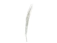 Galho Buriti white 150cm
