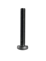 Schraube M6x40mm, schwarz für LS-Klammern